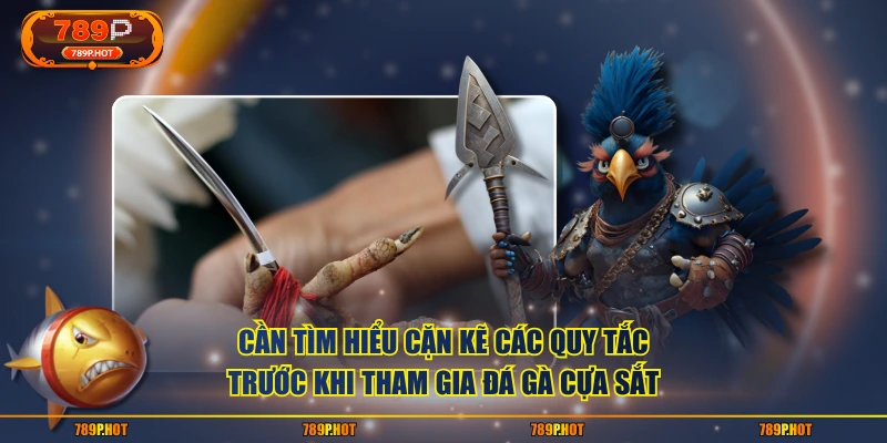 Cần tìm hiểu cặn kẽ các quy tắc trước khi tham gia đá gà cựa sắt